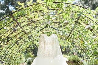 Harry P. Leu Gardens - 15