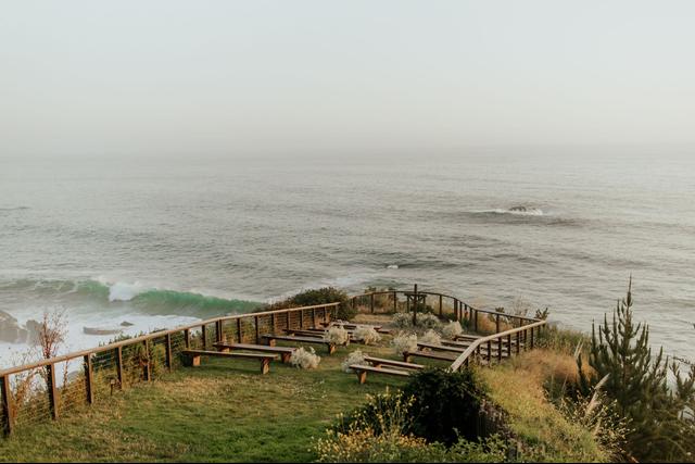 Lynn Lewis Photography - 3