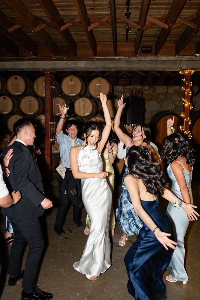 Napa Valley DJ & Photo Booth - 2