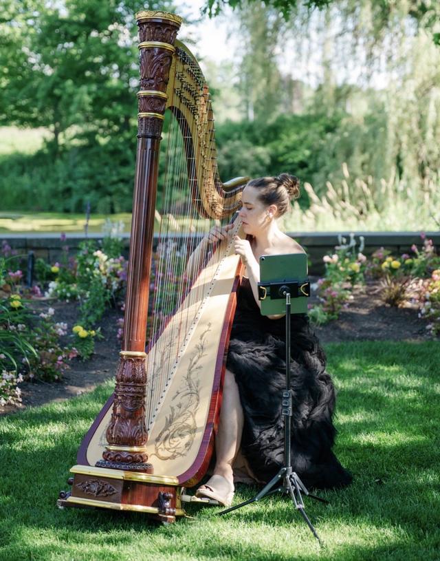 Harp & Soul - 1