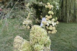 Rachel Behar Events - 10