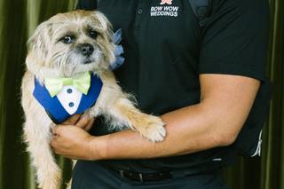 Bow Wow Weddings - 1