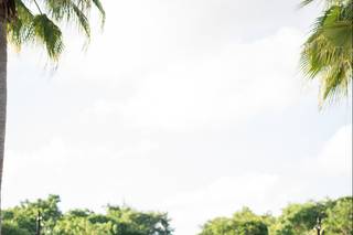 Tracy French ~ Destination Wedding Specialist - 9