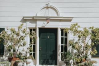 Fancy Fern Events - 10