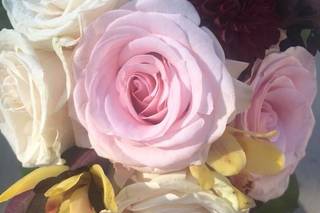 A florae - 42