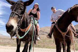 Willow & Wander Travel - 7