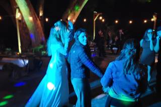 Dance Monkey Music & Lighting - 7