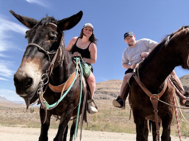 Willow & Wander Travel - 3
