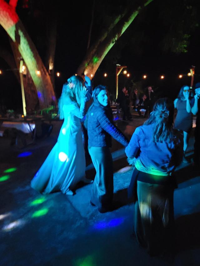 Dance Monkey Music & Lighting - 3