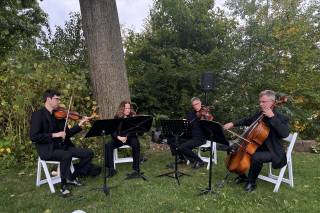 Pizzazz Strings - 1
