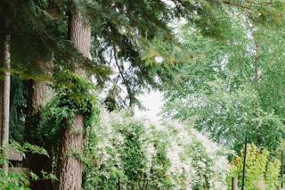 Fireseed Catering and Event Gardens - 12