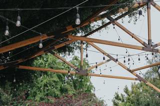 The Little Branch - 33