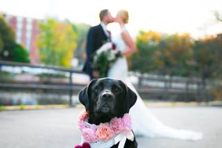 Wilton Brothers Photography - 45