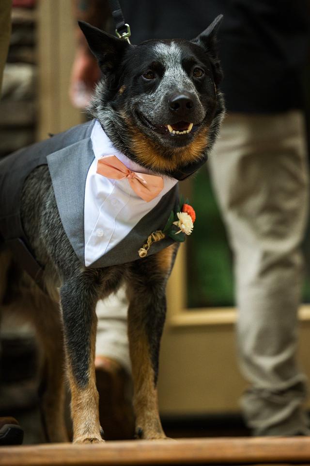 Cynthia Viola Photography - 2