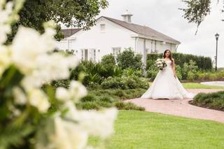 Photo Harp Weddings - 73