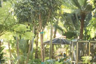 Sunken gardens - 46