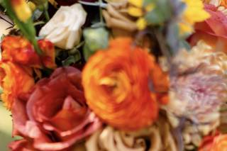 Cullen Creations - 5