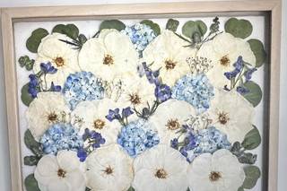 White Poppy Preservation - 6