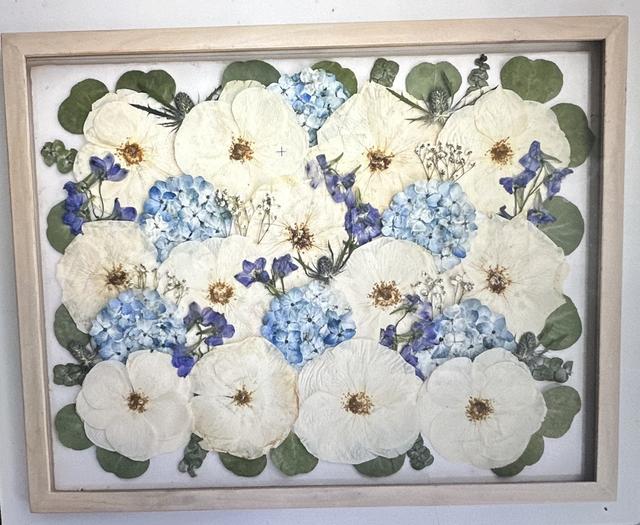 White Poppy Preservation - 1