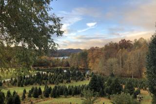 Chimney Pond Farm - 33