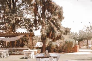 Weddings at Schnepf Farms - 136