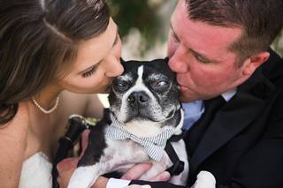 Stout Creative - 115