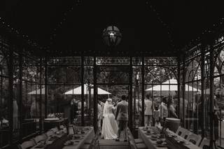 Century Tree Productions - 6