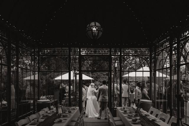 Century Tree Productions - 3