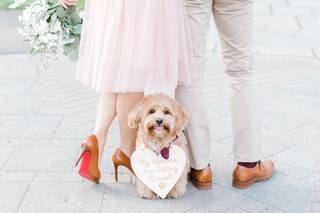 Susan Elizabeth Photography - 36