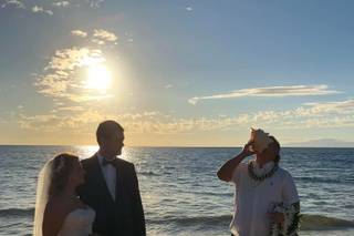 A Dream Wedding - 23