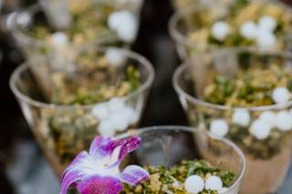 Rupa Vira's Catering Services - 13