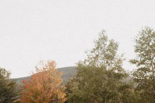 Kate Taylor Events and Weddings - 10