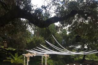 Amigo Event Rentals - 24
