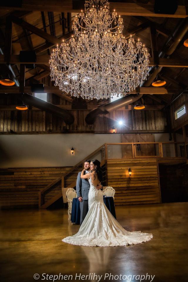 Steve Herlihy Photography - 2
