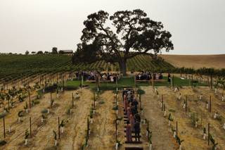 Ella's Vineyard - 22