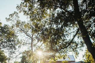 Cassie Lopez Photography - 8