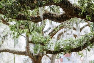 ClaudineValladePhotography - 7