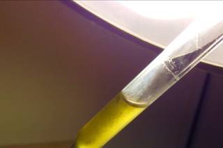Hemply - 4