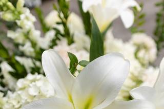 Braach's Flowers - 9