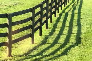 Sylvanside Farm - 88