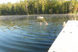 Forest Lake Camp - 6