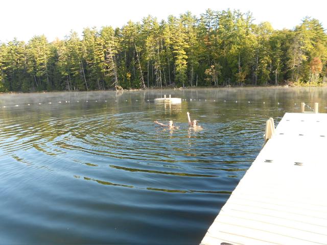 Forest Lake Camp - 1