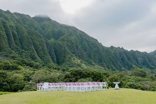 WEDDING PLANNER 808 - 14