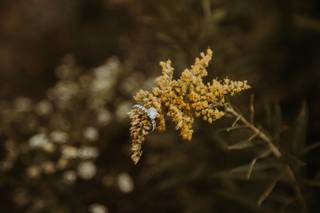Eleven Twenty-One Photography - 19