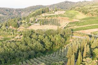 Tenuta Riseccoli - 24