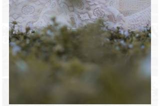 Walter Aleman Photography & Events - 55