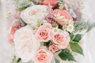 Photo by Basia - 13