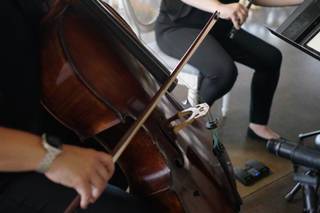 Nelson String Quartet - 6