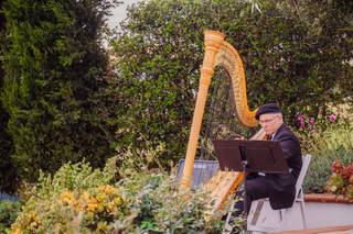 Harpist Brian Noel - 6