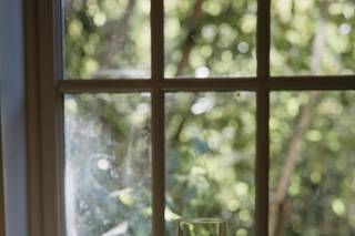 Hillen Homestead - 5